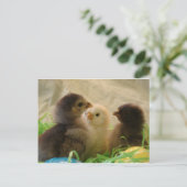 Paaskippen Feestdagenkaart (Staand voorkant)