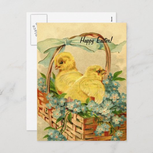  paaskippen feestdagenkaart (Voorkant / Achterkant)