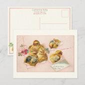  paaskippen in pakket briefkaart (Voorkant / Achterkant)