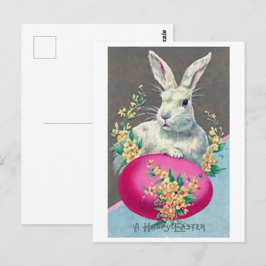 paaskoeienvanger briefkaart (Voorkant / Achterkant)