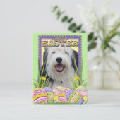Paaskoekjes - Oude Engelse Sheepdog Feestdagenkaart (Staand voorkant)