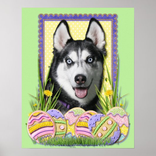 Paaskoekjes - Siberian Husky Poster (Voorkant)