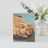  paaskonijn briefkaart (Staand voorkant)