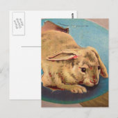  paaskonijn briefkaart (Voorkant / Achterkant)