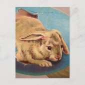  paaskonijn briefkaart (Voorkant)