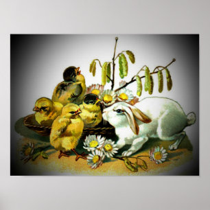  paaskonijn en Baby, ZSSG Poster