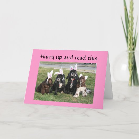 PAASKONIJN IS OP EEN WOEDE OVER OREN!!! FEESTDAGEN KAART (Voorkant)