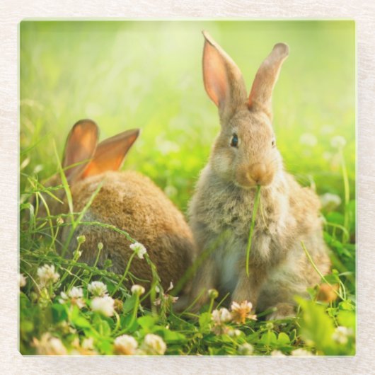 Paaskonijnen Glazen Onderzetter (Voorkant)