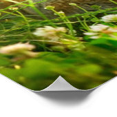 Paaskonijnen Poster (Hoek)