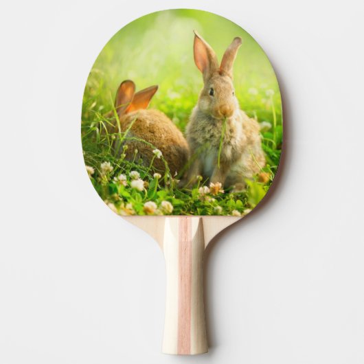 Paaskonijnen Tafeltennisbatje (Voorkant)