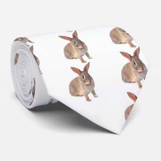 Paaskonijnenzijde Stropdas (Opgerold)