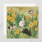 paaskonijntjes (1906), (Voorkant / Achterkant)