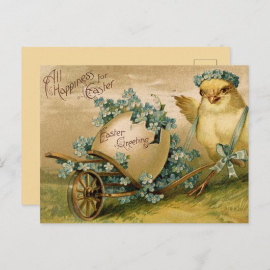  paaskuiken met ei vol viooltjes briefkaart (Voorkant / Achterkant)