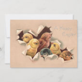 Paaskuikens  aangepaste Pasen Feestdagenkaart (Voorkant)