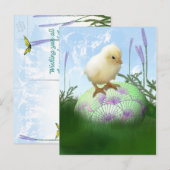 paaskuikens Briefkaart (Voorkant / Achterkant)