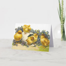 Paaskuikens en Vergeet me notities