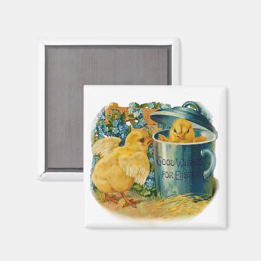 Paaskuikens in het spel magneet (Voorkant / Achterkant)