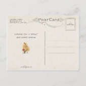 paaskuikens met regenboog briefkaart (Achterkant)