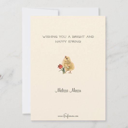 paaskuikens met regenboog feestdagenkaart (Achterkant)