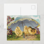 paaskuikens onder een paraplu briefkaart (Voorkant / Achterkant)