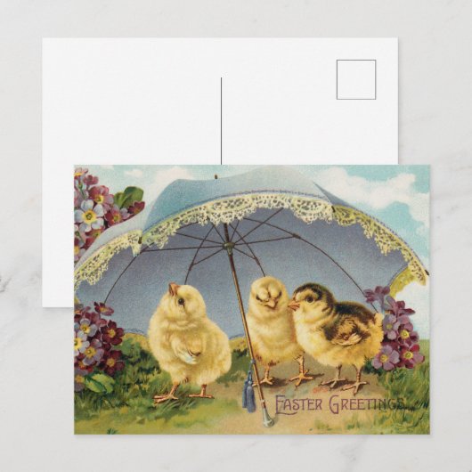 paaskuikens onder parasol briefkaart (Voorkant / Achterkant)
