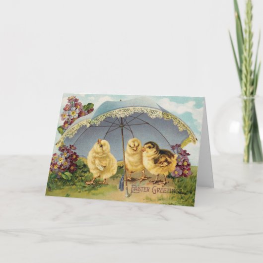  paaskuikens onder parasol kaart (Voorkant)