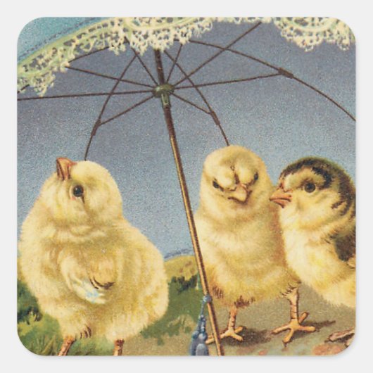  paaskuikens onder parasol vierkante sticker (Voorkant)