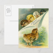  paaskuikens paas Kaart (Voorkant / Achterkant)