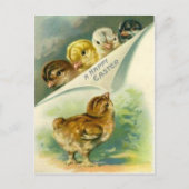 paaskuikens paas Kaart (Voorkant)