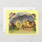  paaskuikens & parasol feestdagenkaart (Voorkant / Achterkant)