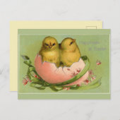  paaskuikens uitkomen briefkaart (Voorkant / Achterkant)