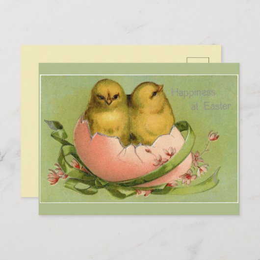 paaskuikens uitkomen briefkaart (Voorkant / Achterkant)