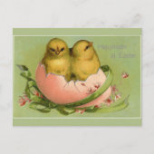  paaskuikens uitkomen briefkaart (Voorkant)