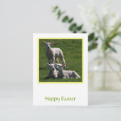 Paaslammeren Briefkaart (Staand voorkant)