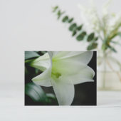 Paaslelie · Briefkaart (Staand voorkant)