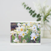 Paaslelie [Briefkaart] ポ ト カ ド ス Briefkaart (Staand voorkant)