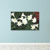 Paaslelie (Lilium regale) Canvas Afdruk (Insitu (Houten vloer))