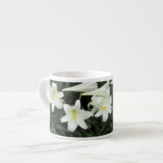 Paaslelie (Lilium regale) Espresso Kop (Links)