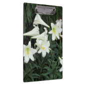 Paaslelie (Lilium regale) Klembord (Rechts)