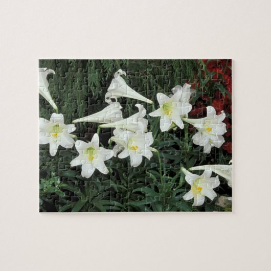 Paaslelie (Lilium regale) Legpuzzel (Horizontaal)