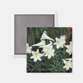 Paaslelie (Lilium regale) Magneet (Voorkant / Achterkant)