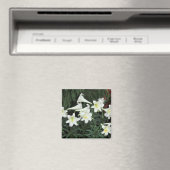 Paaslelie (Lilium regale) Magneet (Insitu (Vaatwasser))