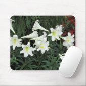 Paaslelie (Lilium regale) Muismat (Met muis)