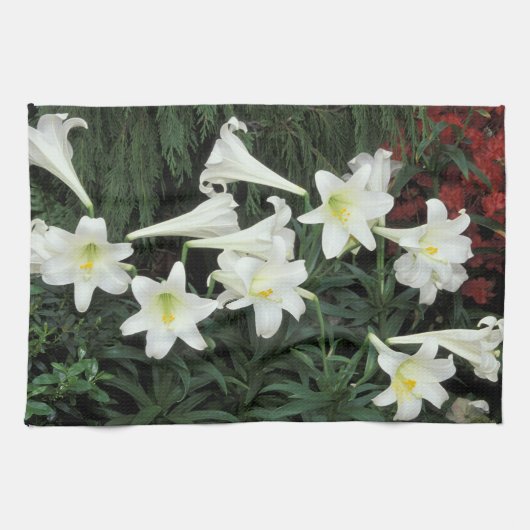 Paaslelie (Lilium regale) Theedoek (Horizontaal)