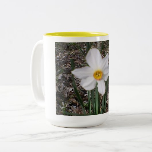 Paaslentebloei Tweekleurige Koffiemok (Voorkant links)