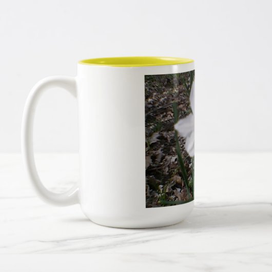 Paaslentebloei Tweekleurige Koffiemok (Links)