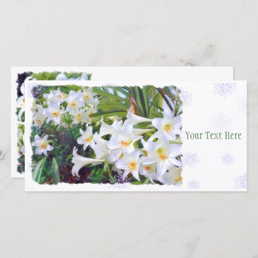 Paaslicht [Flat Guide-kaart] 案 内 状 Aankondiging (Voorkant / Achterkant)