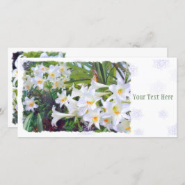 Paaslicht [Flat Guide-kaart] 案 内 状 Aankondiging