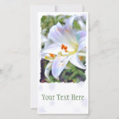 Paaslicht [Flat Guide-kaart] 案 内 状 Aankondiging (Voorkant)