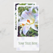 Paaslicht [Flat Guide-kaart] 案 内 状 Aankondiging (Voorkant / Achterkant)